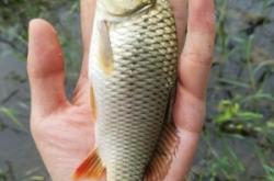 赤峰附近干河釣魚地點(diǎn)電話號(hào)碼