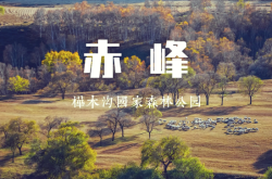 赤峰植物園美食團(tuán)購(gòu)電話號(hào)碼