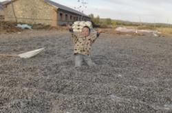 內(nèi)蒙赤峰葵花種植戶電話是多少