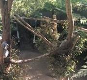 赤峰動(dòng)物園團(tuán)購(gòu)電話(huà)號(hào)碼