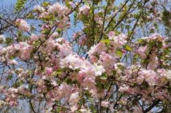 赤峰南大寺熏雞店電話號(hào)碼