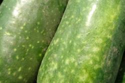 赤峰綠苑水果超市電話號碼