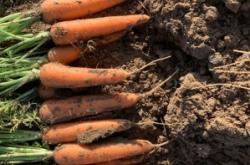 赤峰林西滴灌廠電話地址查詢