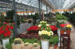 赤峰紅山鮮花店地址電話號碼