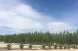 赤峰市林西洗浴按摩電話號碼