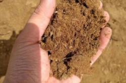 赤峰內(nèi)蒙羊糞廠商家電話號碼