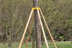 赤峰房梁木頭廠家電話號碼