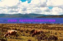 赤峰機場轉機政策查詢電話號碼