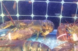 赤峰市最好的海鮮飯店