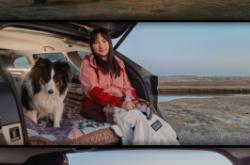 內(nèi)蒙古赤峰上門遛狗電話號碼