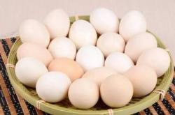 赤峰送雞蛋的電話是多少號(hào)