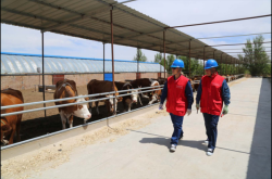 赤峰市供電電局電話號(hào)碼