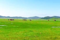 赤峰云彩制造廠電話地址查詢