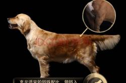 赤峰市配送狗糧電話地址查詢