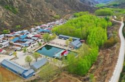 赤峰三西街氣球批發(fā)電話號碼