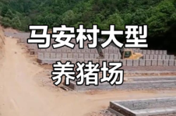 赤峰市養(yǎng)豬場聯(lián)系方式