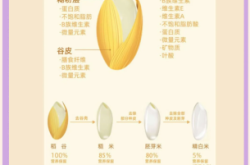 赤峰胚芽米廠家電話號(hào)碼