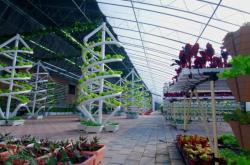 赤峰敖揚(yáng)農(nóng)業(yè)聯(lián)系電話號(hào)碼