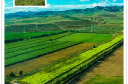 赤峰牛營(yíng)子在哪里