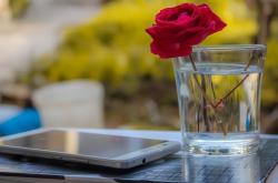 赤峰農(nóng)行普惠貸款電話查詢號碼