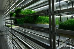 赤峰水培牧草工廠地址電話號碼