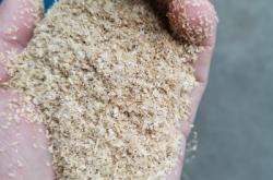 赤峰稻殼批發(fā)廠家直銷(xiāo)電話號(hào)碼