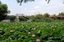 赤峰長青公園旱冰場電話號(hào)碼