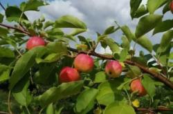 赤峰陳糧批發(fā)電話地址查詢