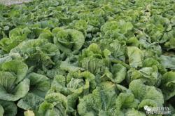 滑縣到赤峰直通車(chē)電話號(hào)碼