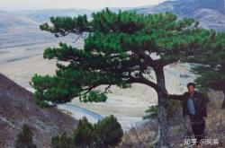 赤峰橋頭馬架子飯店電話(huà)號(hào)碼