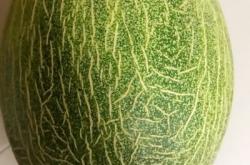 赤峰天天水果超市電話號(hào)碼