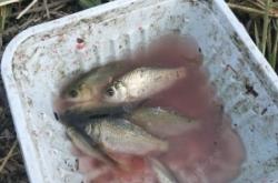 赤峰野釣俱樂(lè)部電話多少號(hào)