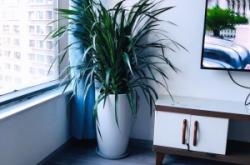 赤峰玖霏娜眉毛店電話號碼