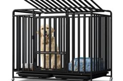 赤峰定做狗籠電話號多少號