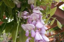 赤峰紫騰賓館電話號碼多少