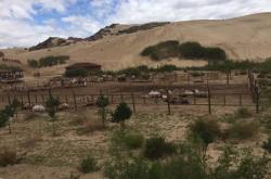 赤峰海馬搖滾節(jié)官網(wǎng)電話號碼