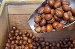 赤峰板栗團購平臺電話號碼