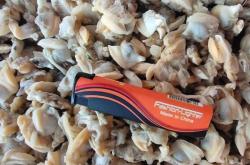 赤峰水產(chǎn)凍品花甲店電話號(hào)碼