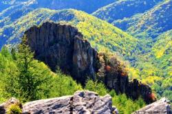 赤峰至旺業(yè)店物流電話查詢