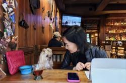 赤峰寵物行業(yè)加盟電話多少號(hào)