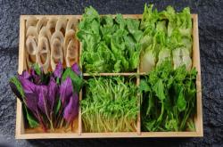 赤峰羊肉小火鍋地址電話號碼