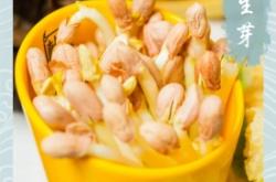 赤峰雞渣咸菜廠家電話號碼