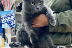 赤峰美迪寵物醫(yī)院電話號(hào)碼