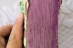 赤峰棕墊子廠電話號碼多少