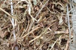 赤峰谷子草塊收購(gòu)電話號(hào)碼