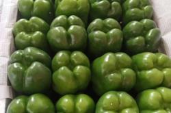 赤峰春麗超市電話號碼查詢