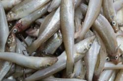 赤峰市水產(chǎn)超市電話號碼