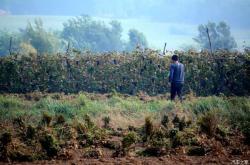赤峰小河沿車站電話號(hào)碼是多少