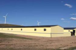 赤峰奶?；仉娫捥柎a多少