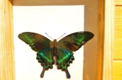 赤峰景點(diǎn)推廣電話(huà)是多少號(hào)